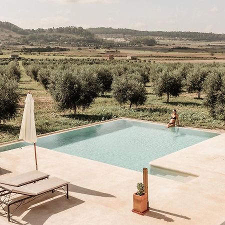 Agroturisme Gossalba Sant Joan Ngoại thất bức ảnh